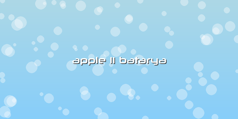 Apple 11 Batarya