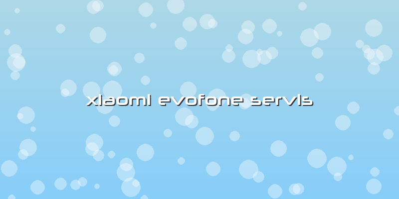 Xiaomi Evofone Servis